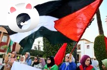 موقف المغرب من طوفان الاقصى